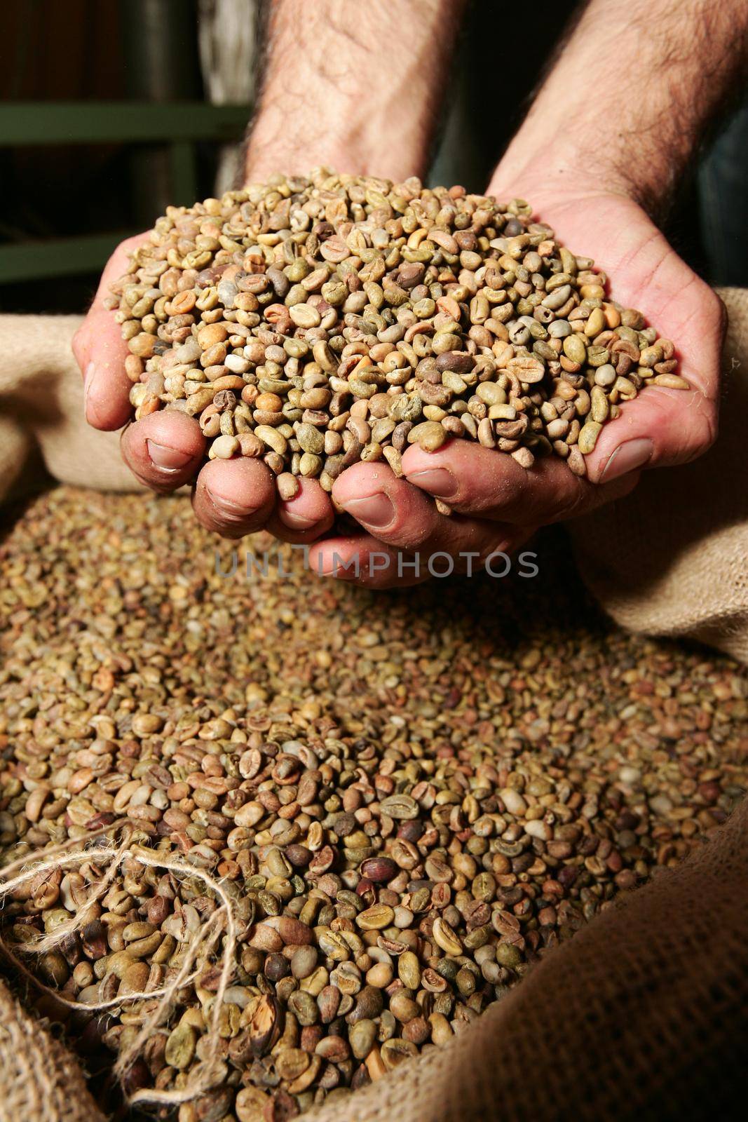 itabela, bahia / brazil - april 23, 2010: processing of coffee beans for export is seen in the city of Itabela.