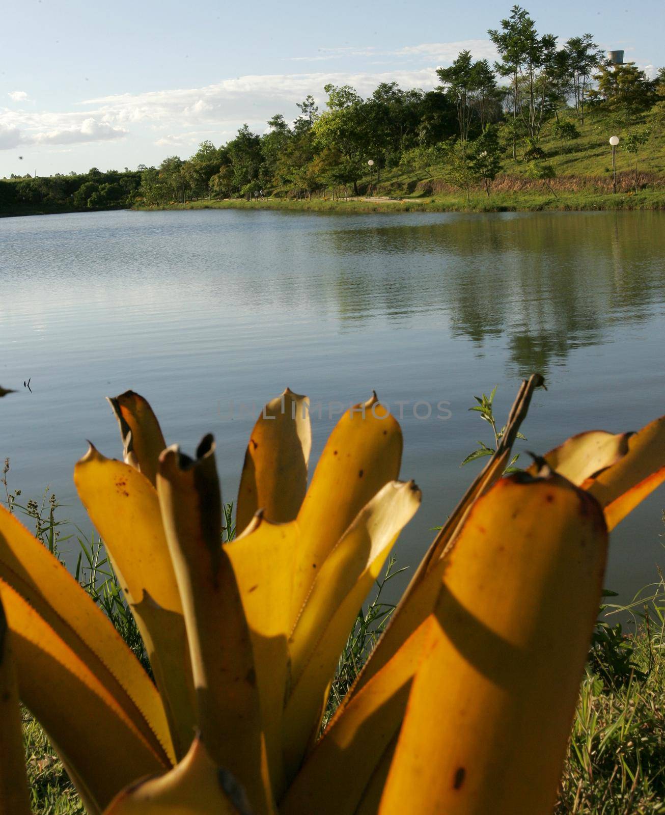 eunapolis, bahia / brazil - january 20, 2011: lake in the city of Eunapolis, in southern Bahia.


