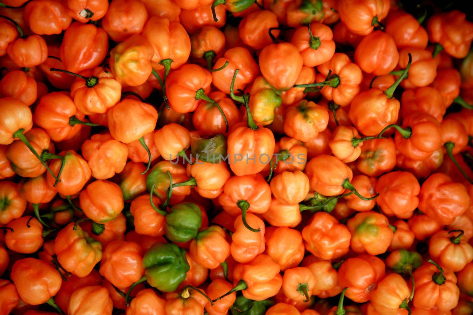 santa cruz cabralia, bahia / brazil - october 30, 2020: peppers for sale at an open market in the city of Mata de Sao Joao.