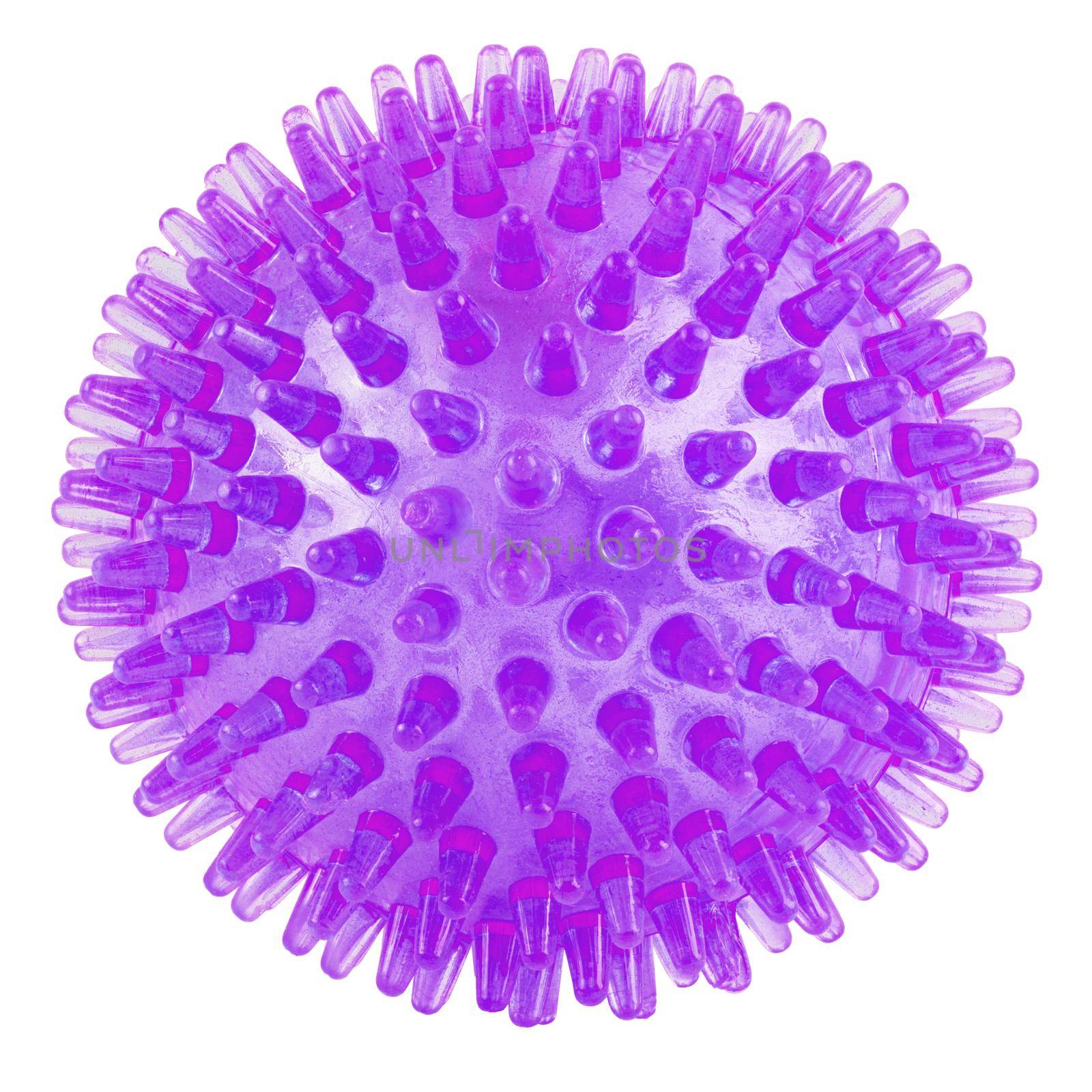 transparent purple spiked plastic ball isolated on white background - massager, dog toy and COVID-19 coronavirus symbol and model