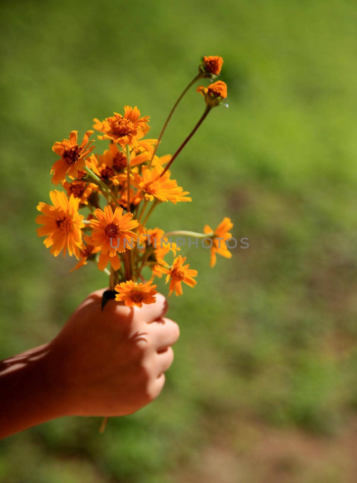 child holding flowers by joasouza