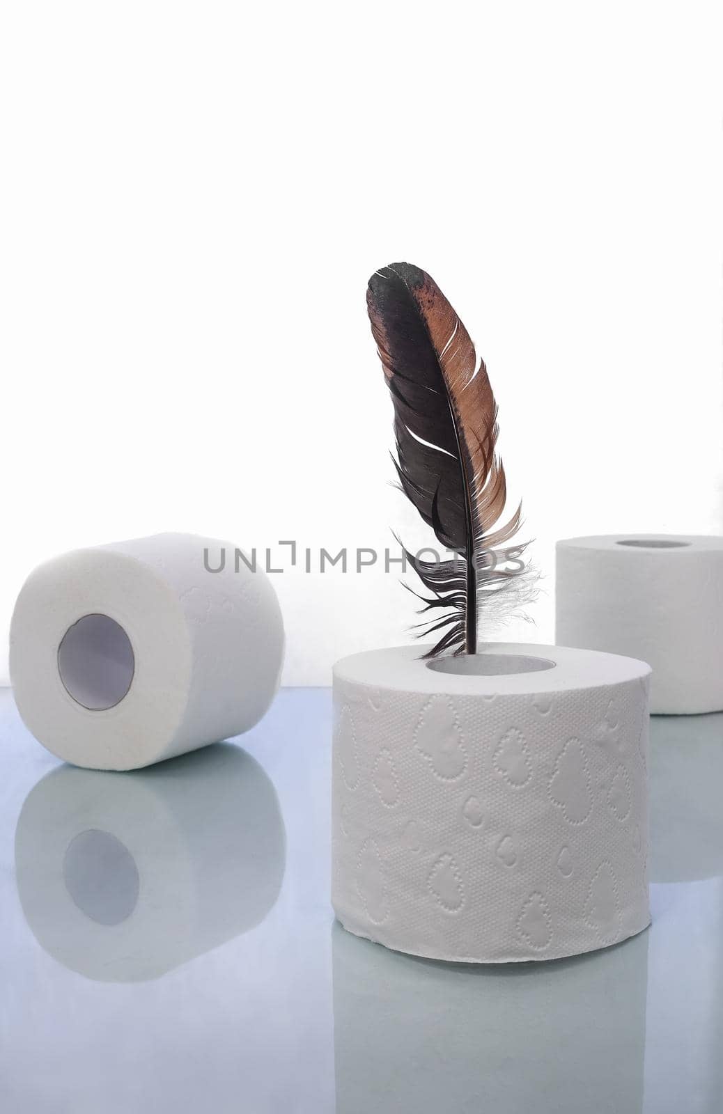 Toilet paper and a bird feather, a symbol of soft touch. by georgina198