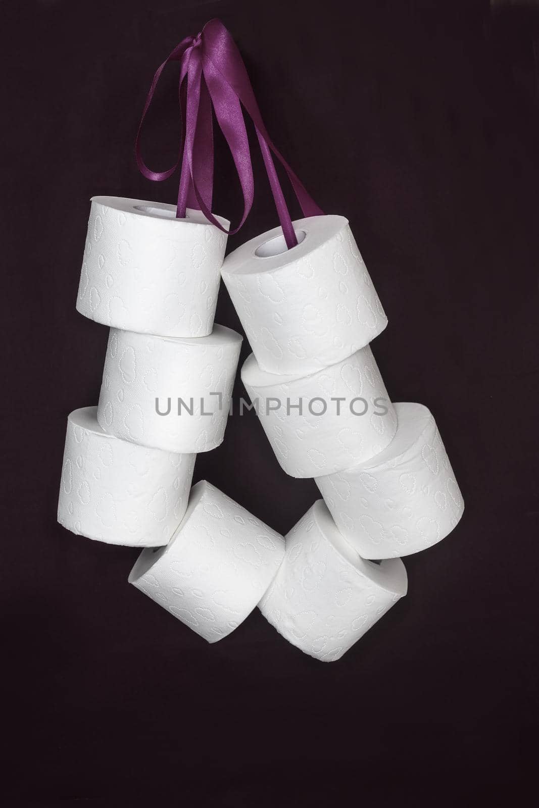 Toilet paper rolls connected by a ribbon in a bundle. by georgina198