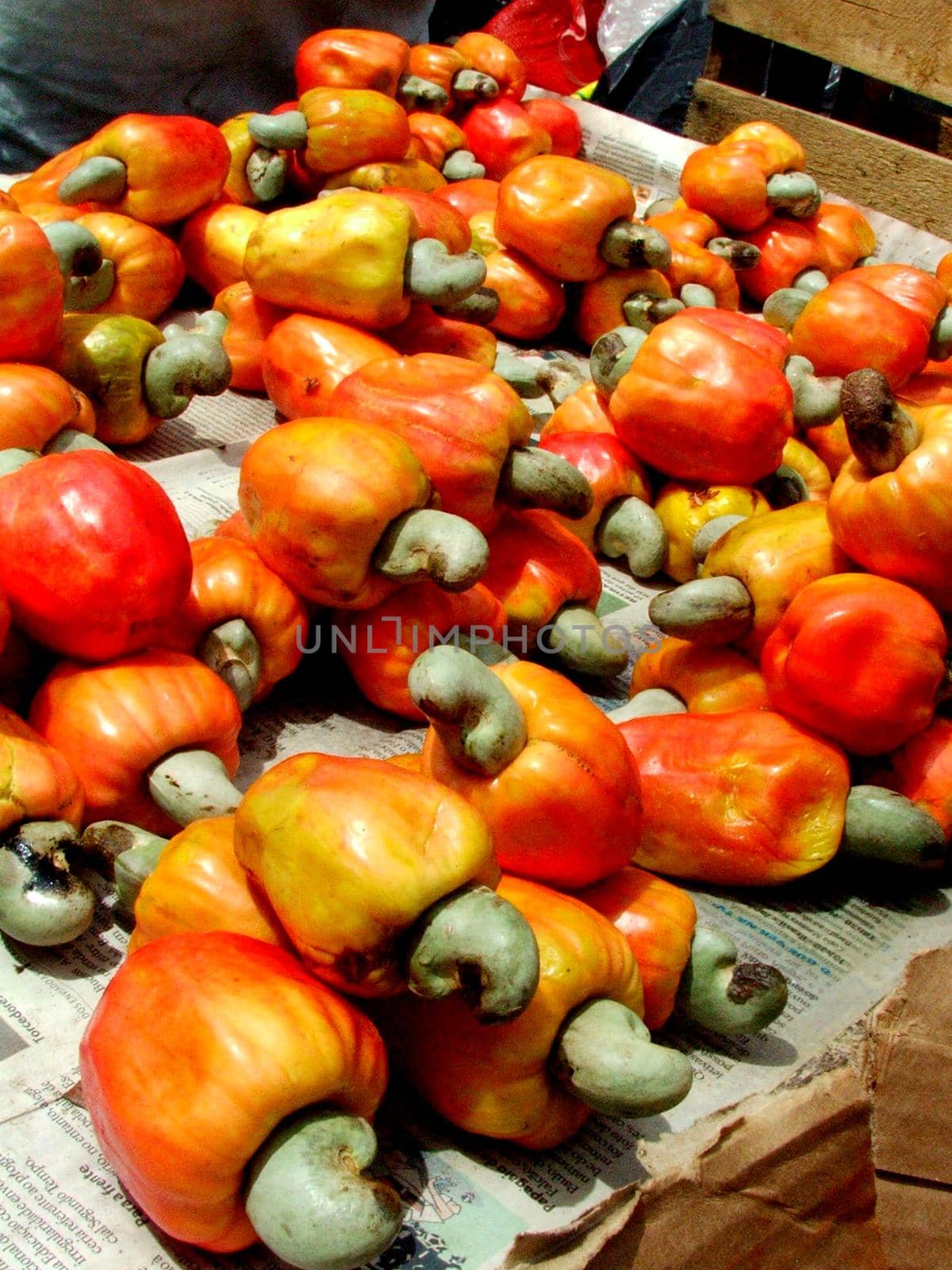 cashew nuts by joasouza