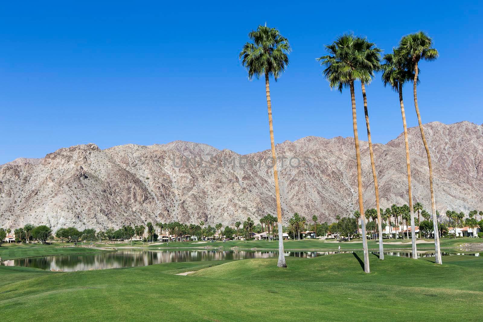 Pga West golf course in La Quinta, Palm Springs, California, usa