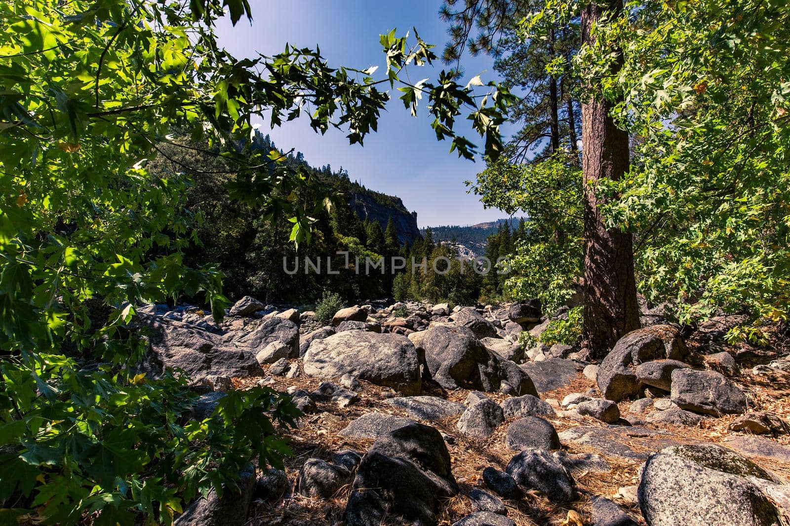 Yosemite valley, Yosemite national park by photogolfer