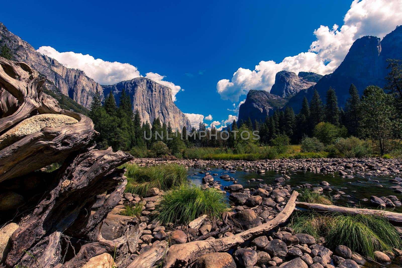 Yosemite valley, Yosemite national park by photogolfer