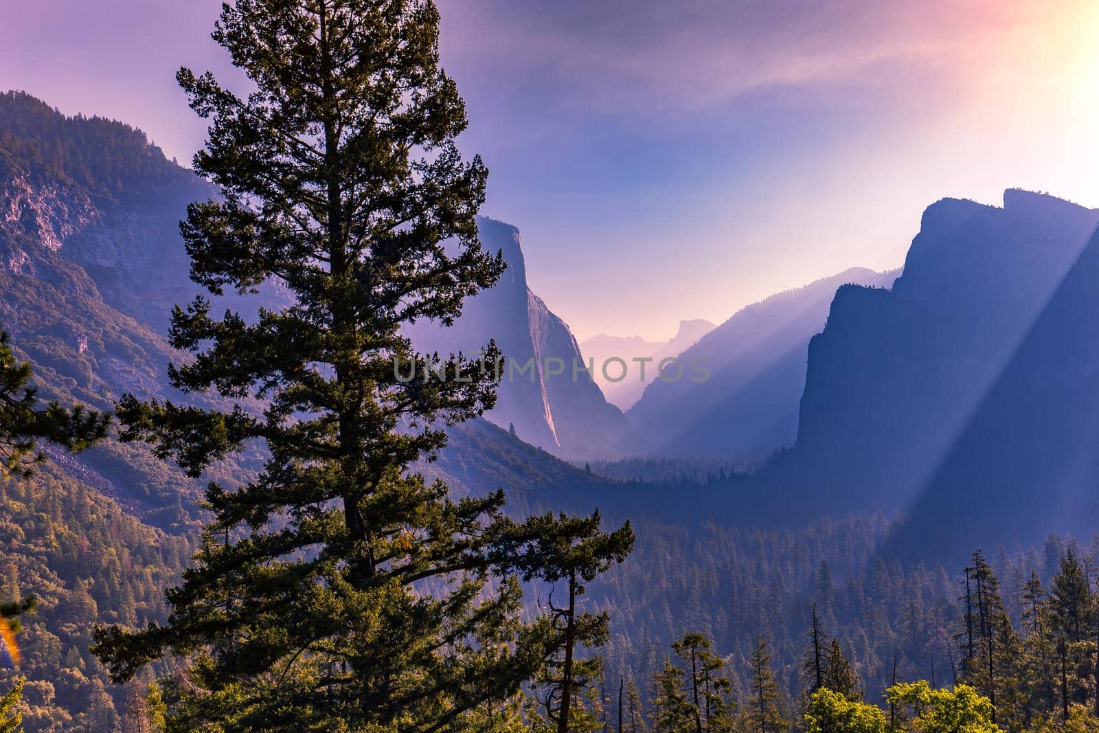 Yosemite valley, Yosemite national park, California, usa