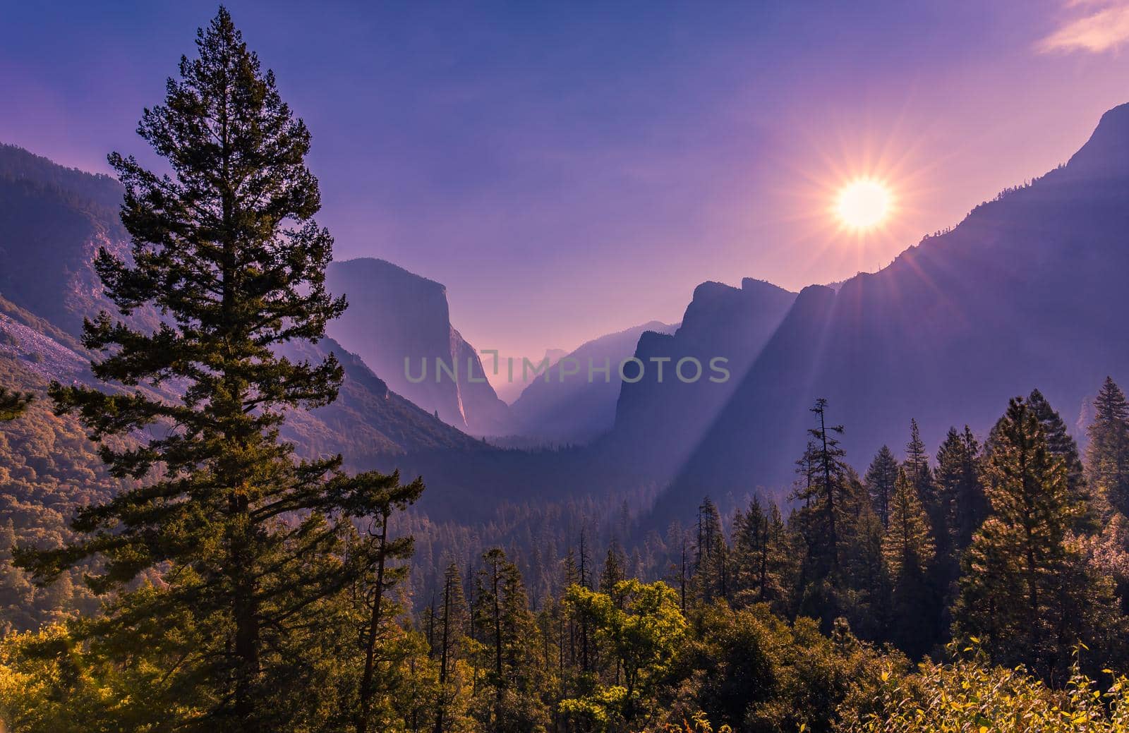 Yosemite valley, Yosemite national park by photogolfer