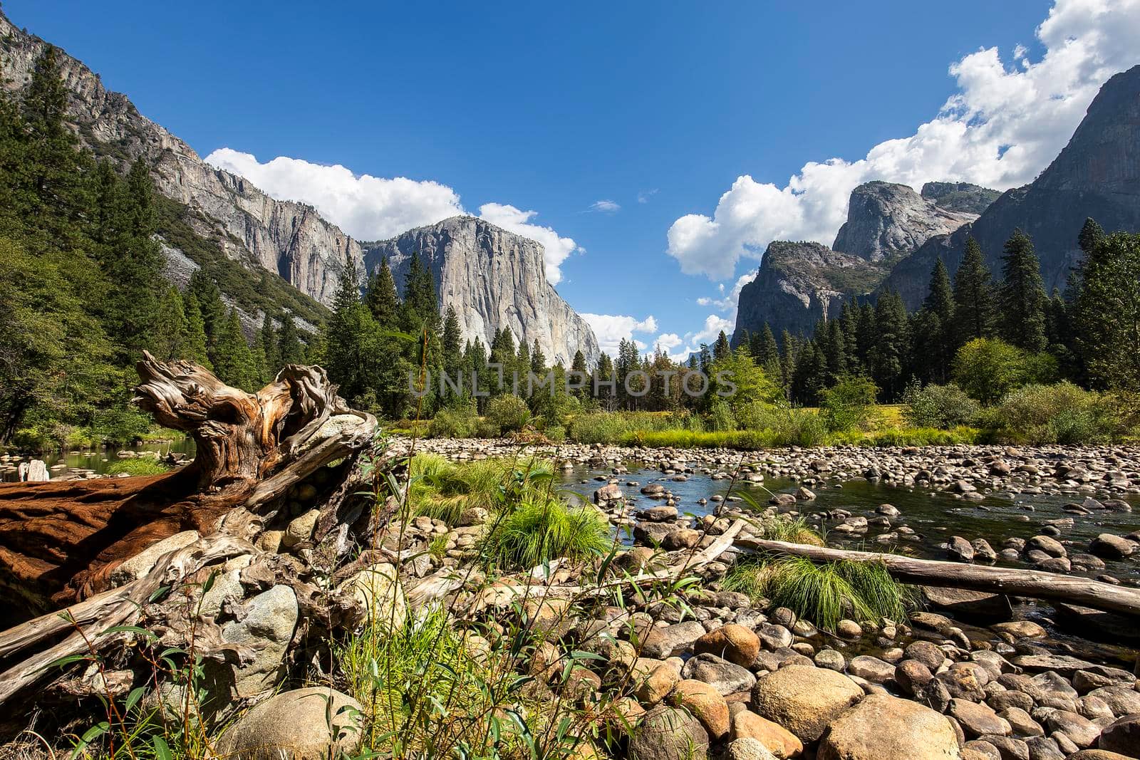 El Capitan, Yosemite national park by photogolfer