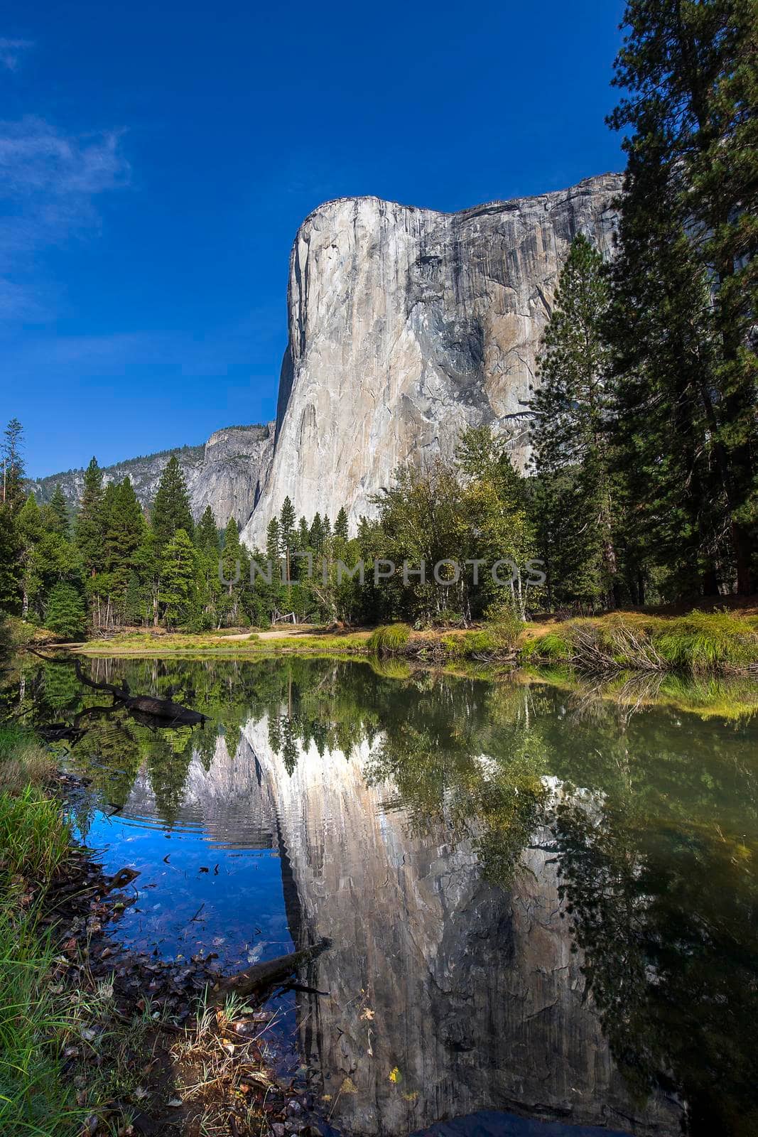 World famous rock climbing wall of El Capitan, Yosemite national park, California, usa