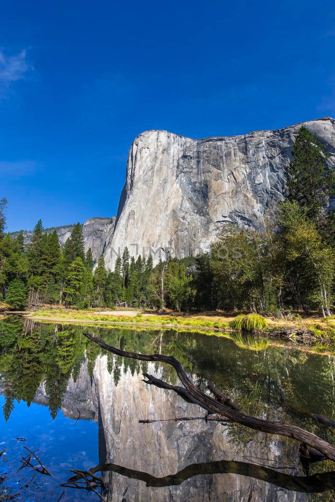 World famous rock climbing wall of El Capitan, Yosemite national park, California, usa