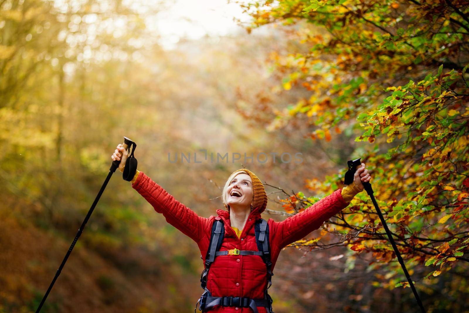 Hiking girl with poles and backpack on a trail. Hands up enjoying in nature. Travel and healthy lifestyle outdoors in fall season.