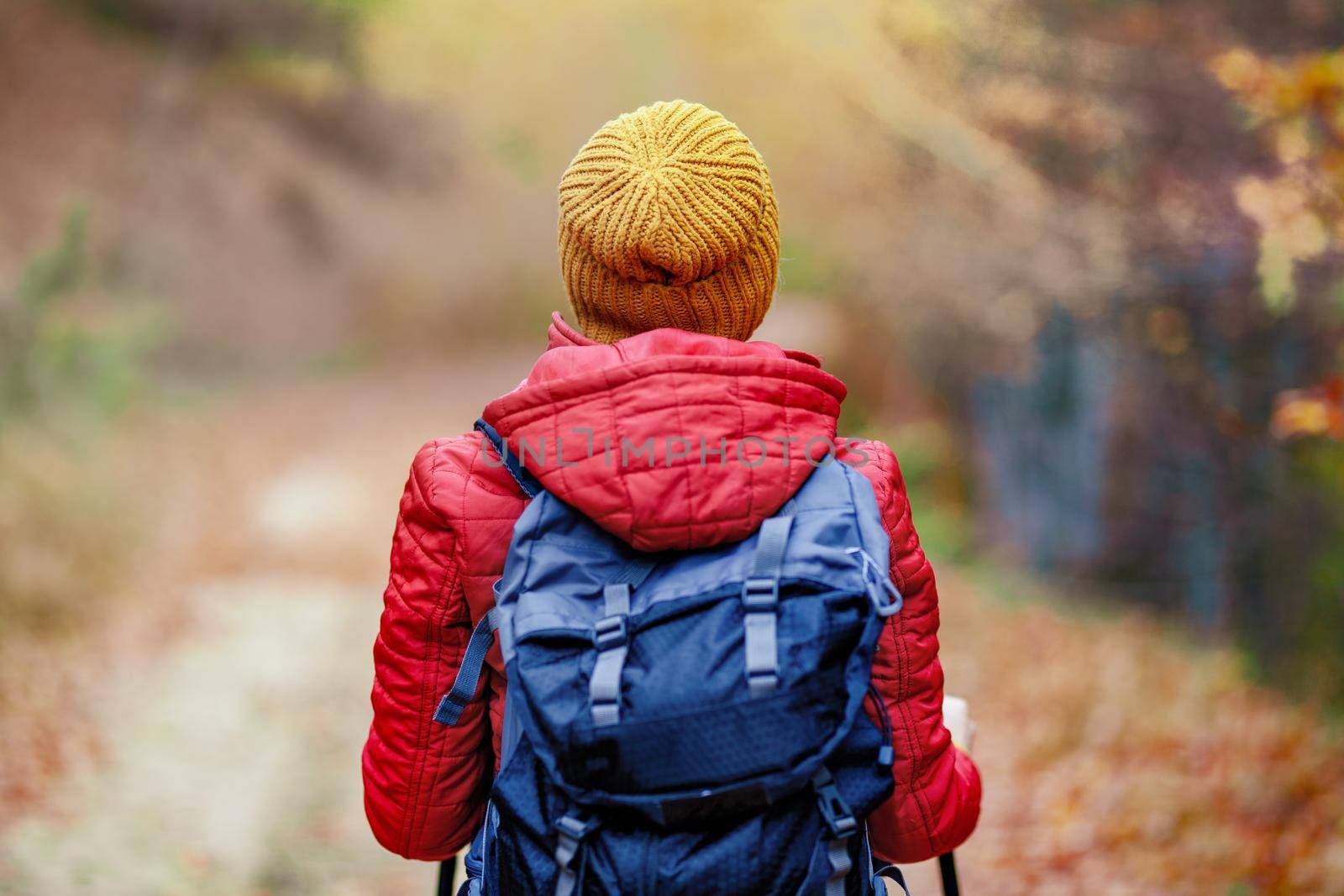 Hiking girl with poles and backpack on a trail. Backview. Travel and healthy lifestyle outdoors in fall season. by kokimk