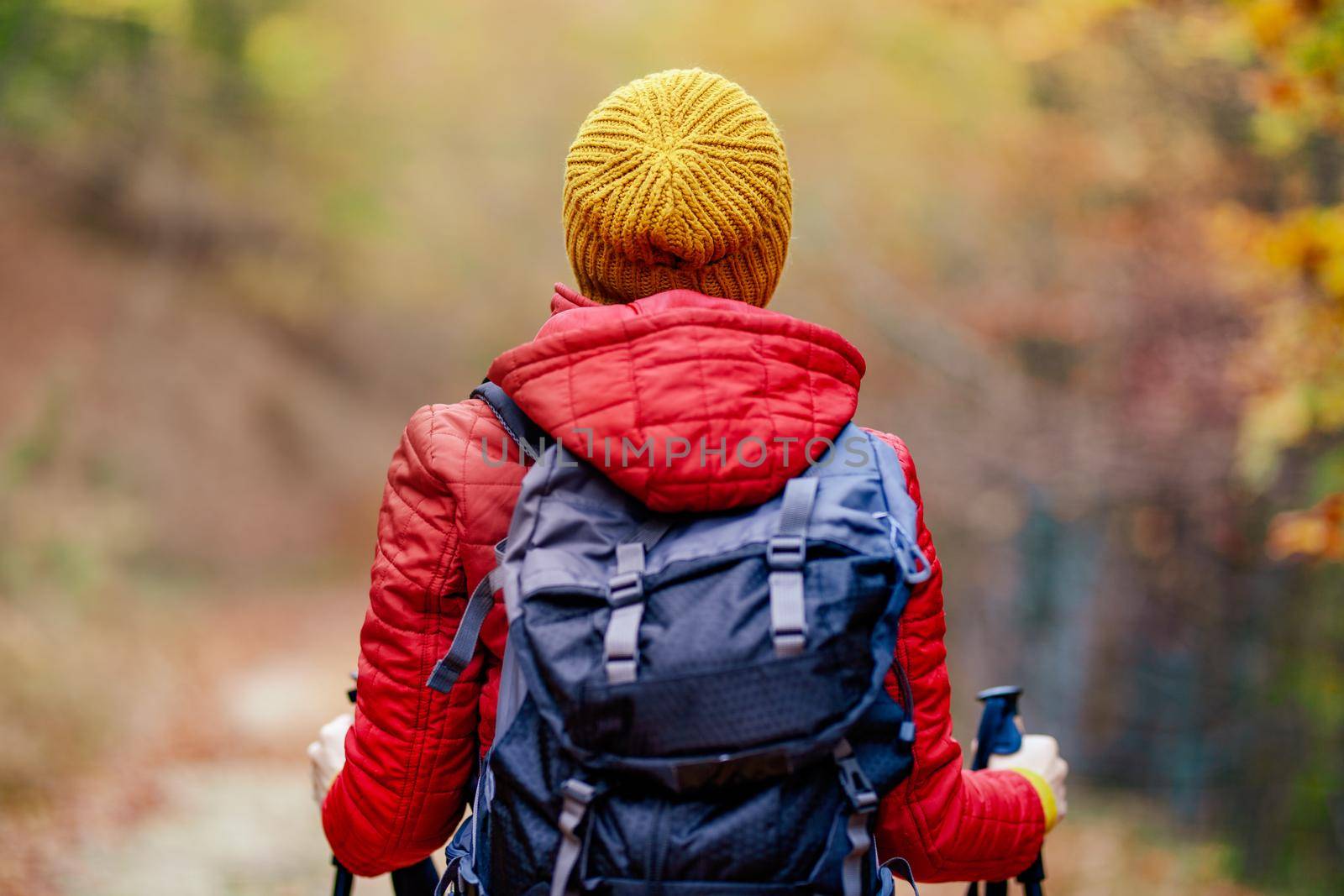 Hiking girl with poles and backpack on a trail. Backview. Travel and healthy lifestyle outdoors in fall season. by kokimk