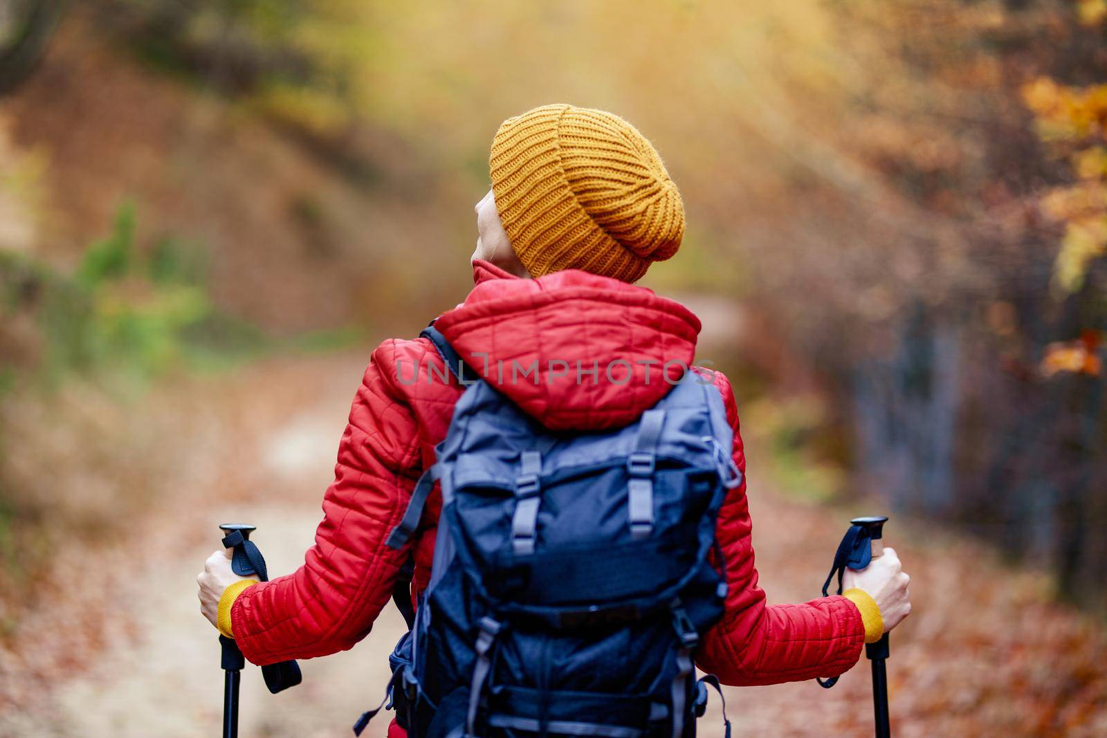 Hiking girl with poles and backpack on a trail. Backview. Travel and healthy lifestyle outdoors in fall season. by kokimk