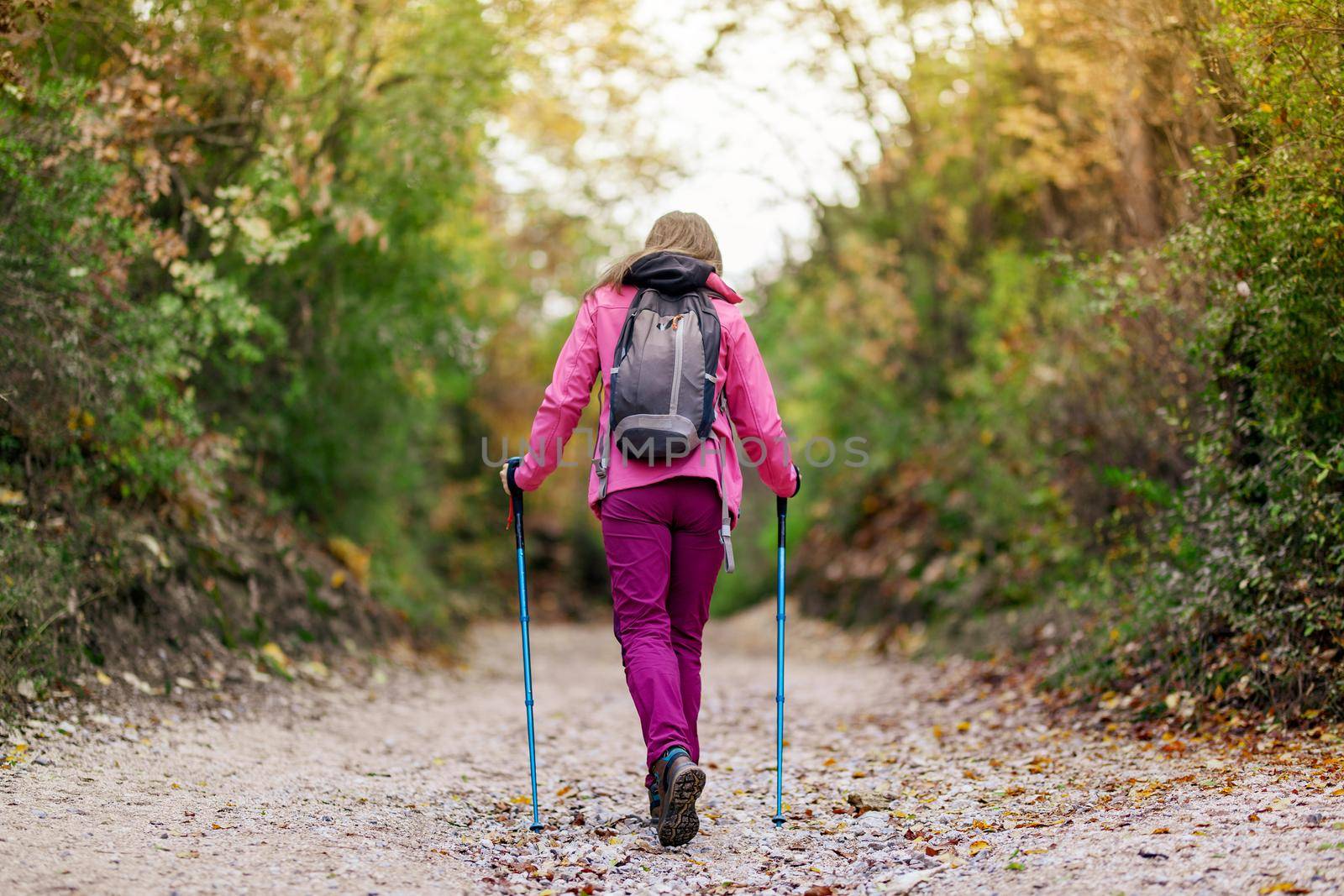 Hiker girl walking away from camera on a wide trail in the mountains. Back view of backpacker with pink jacket in a forest. Healthy fitness lifestyle outdoors. by kokimk