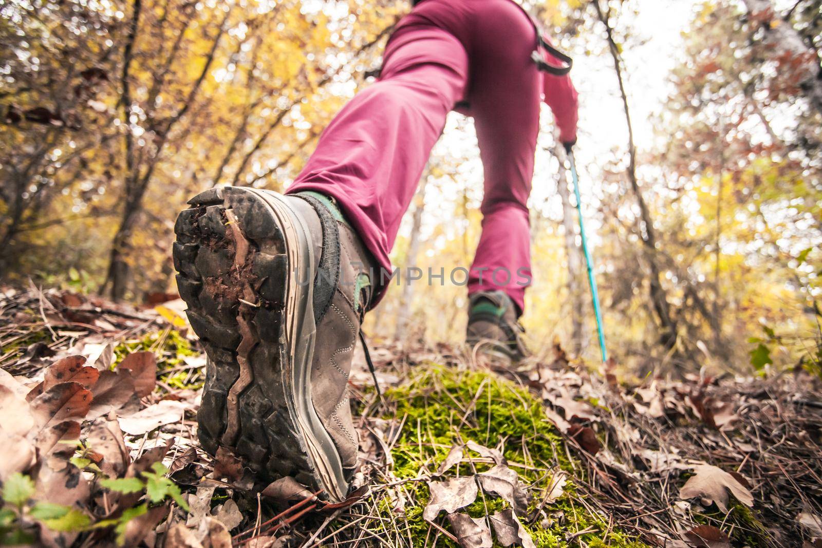 Hiking girl in a mountain. Low angle view of generic sports shoe and legs in a forest. Healthy fitness lifestyle outdoors. by kokimk