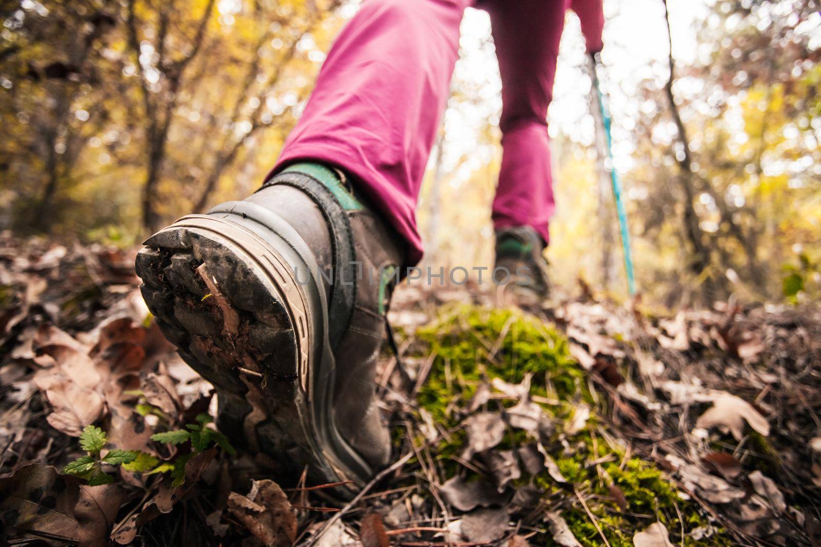 Hiking girl in a mountain. Low angle view of generic sports shoe and legs in a forest. Healthy fitness lifestyle outdoors. by kokimk