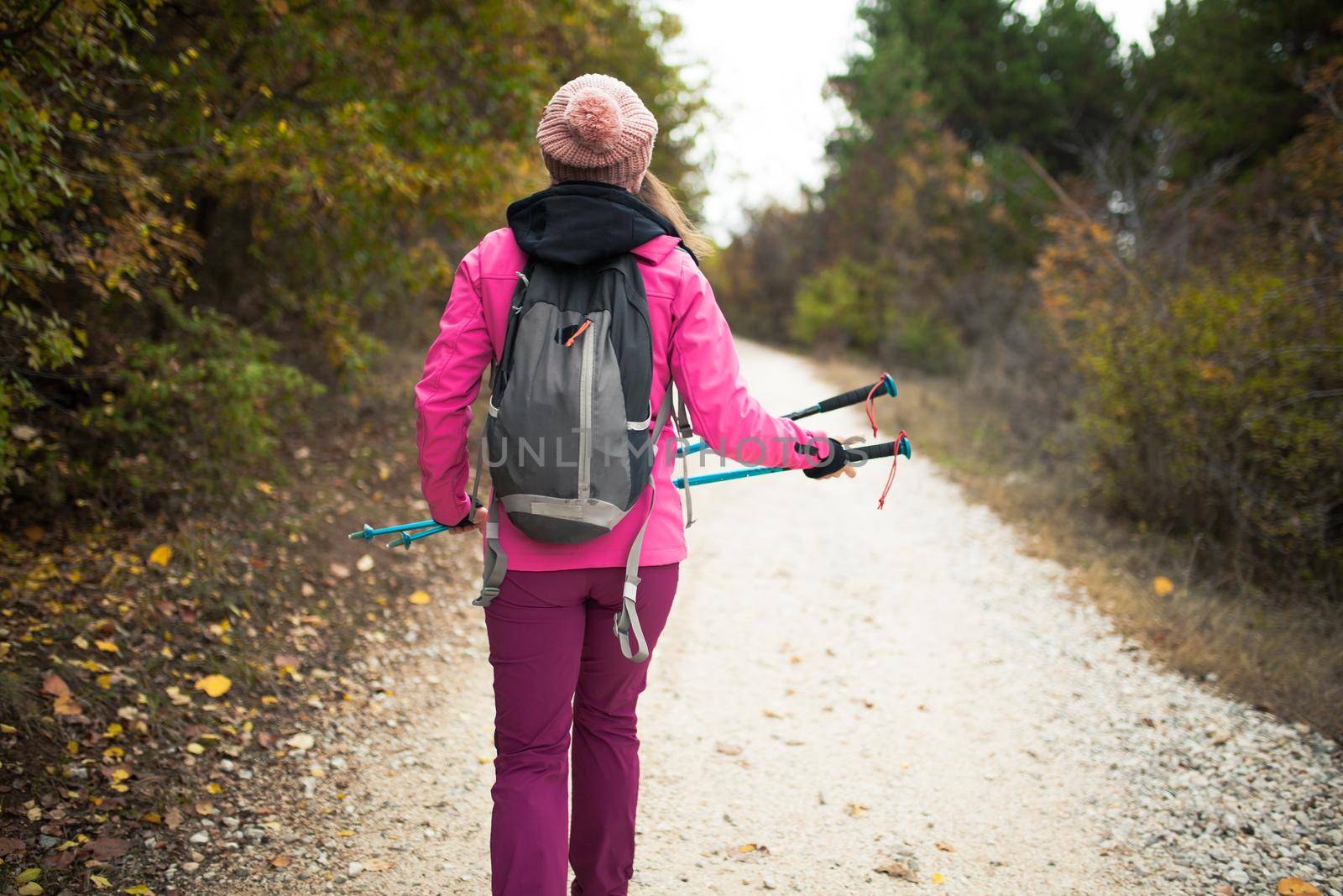 Hiker girl walking on a path in the mountains. Back view of backpacker with pink jacket in a forest. Healthy fitness lifestyle outdoors. by kokimk