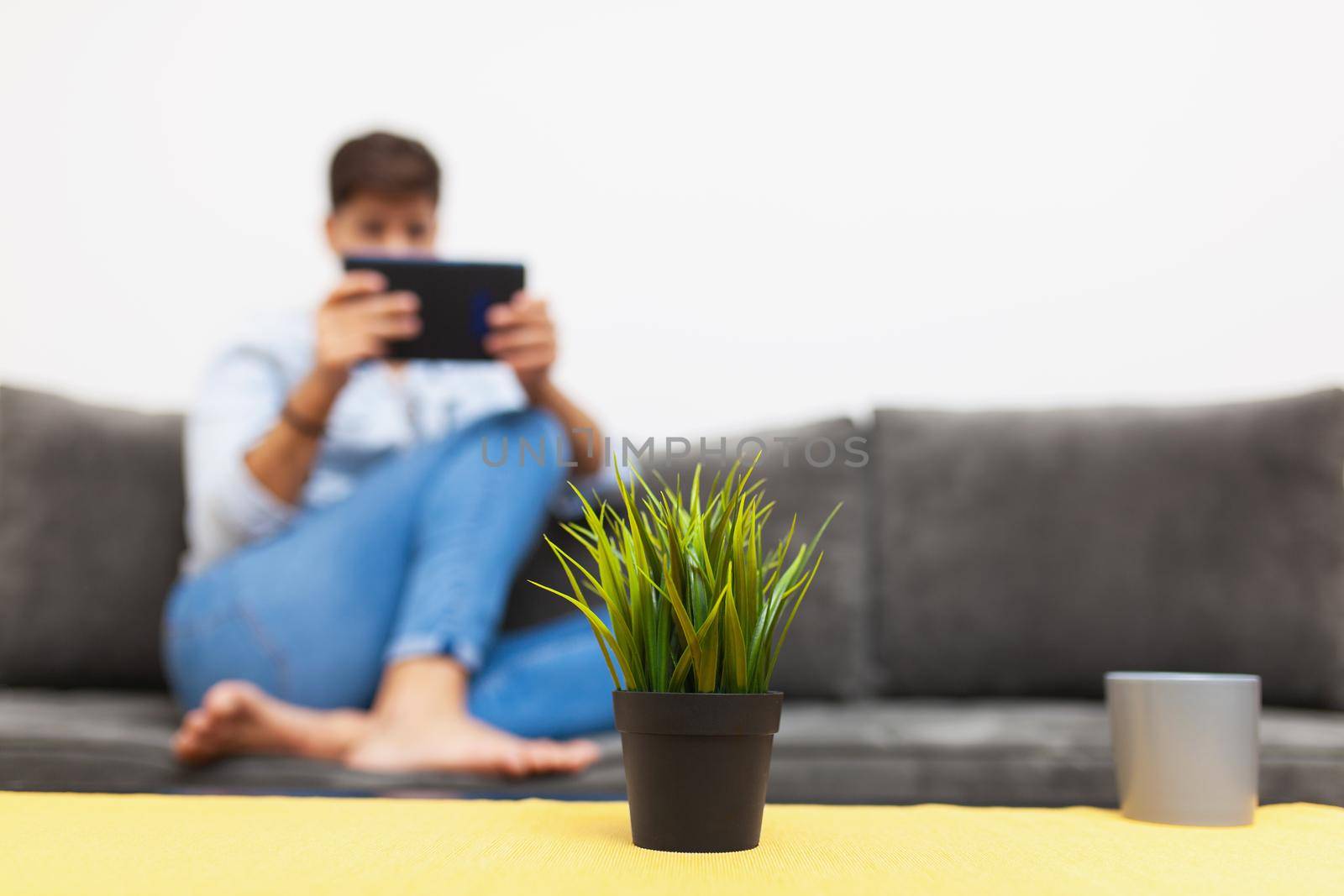 green plant on a table in living room. out of focus man with tablet
