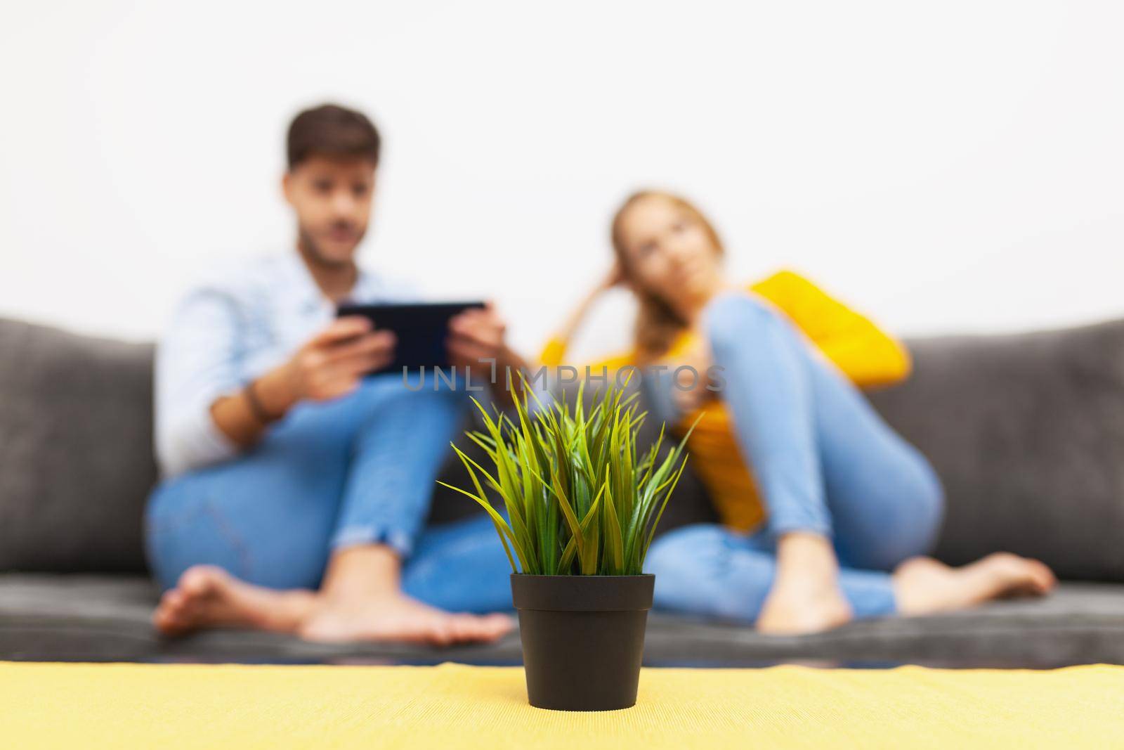 green plant on a table in living room. out of focus couple on a sofa by kokimk