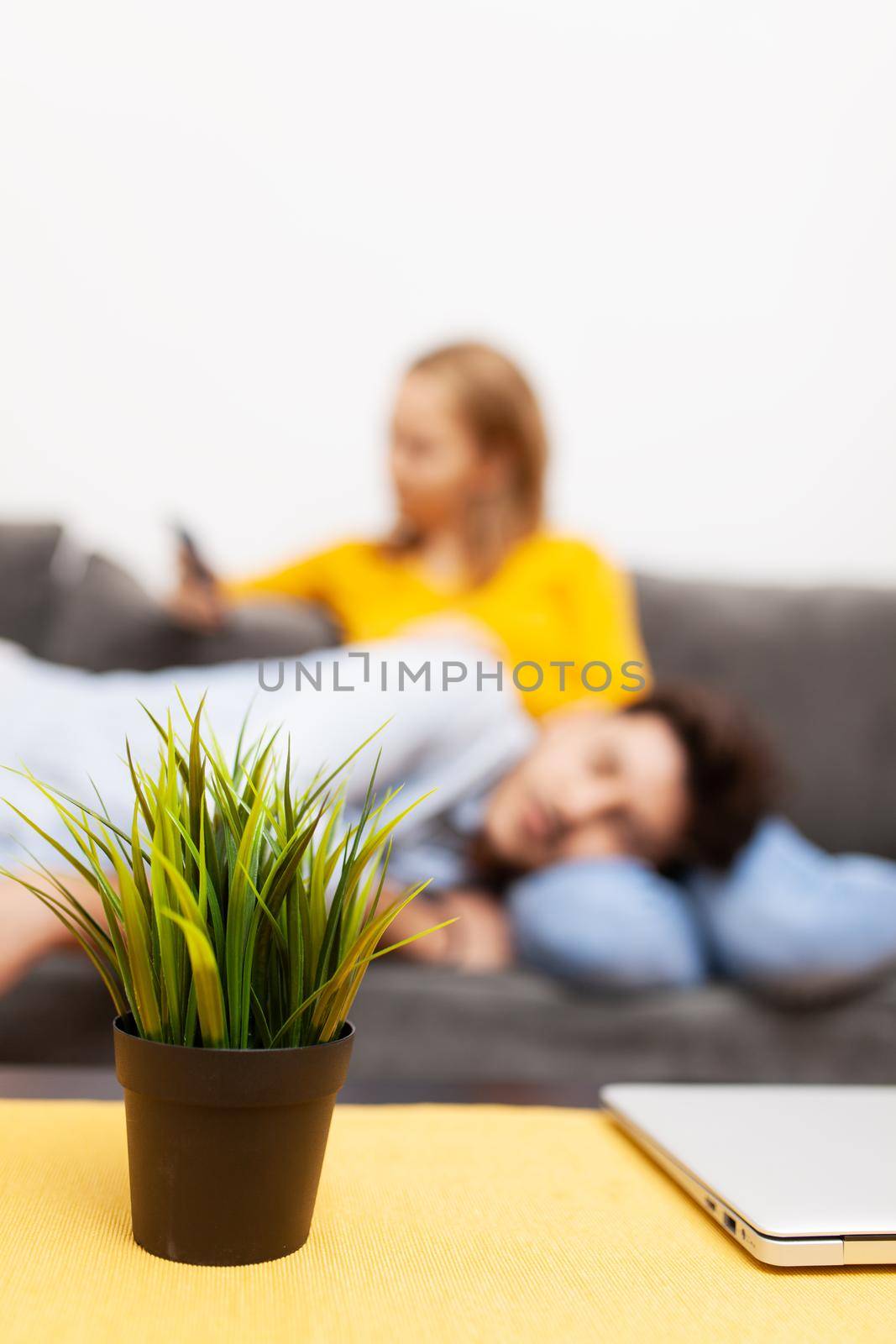 boy naps on girlfriend's lap while she looks at smart phone. focus on flower and laptop by kokimk