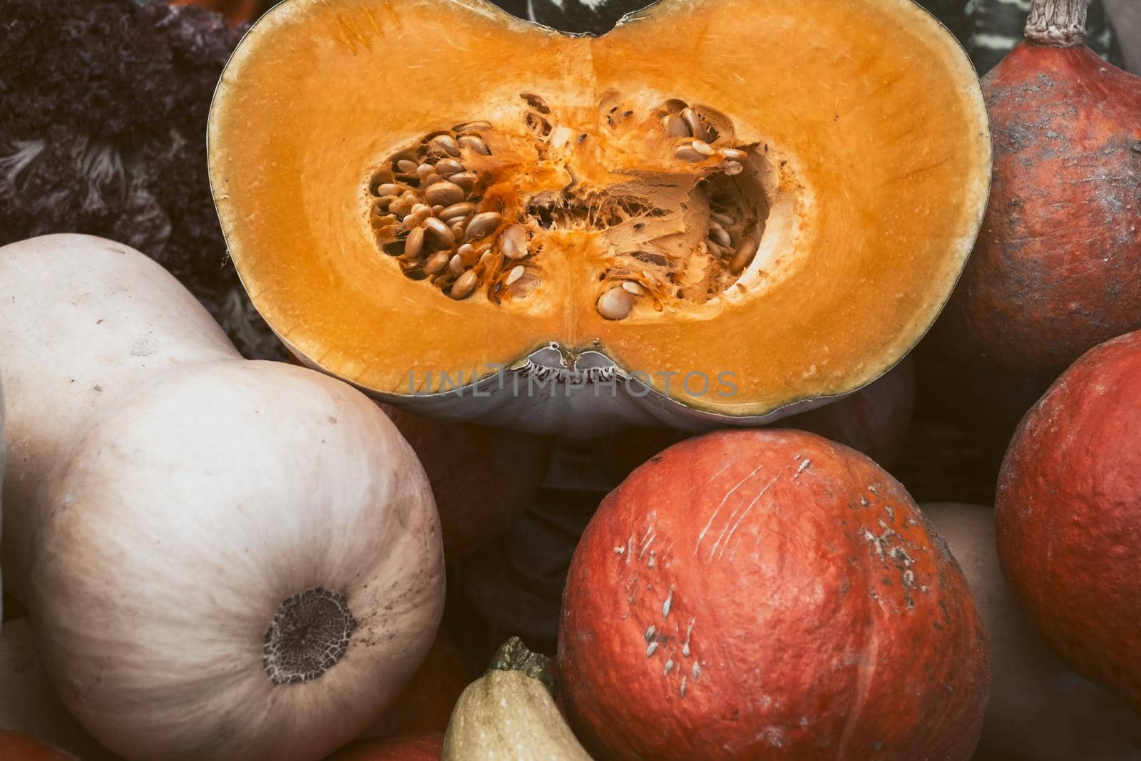 autumn pumpkins on the market stall