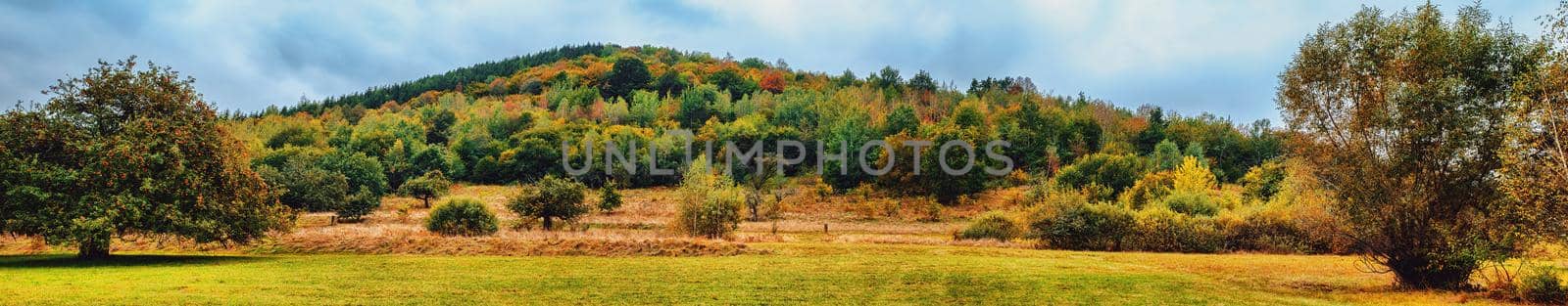 autumn panorama with red apple