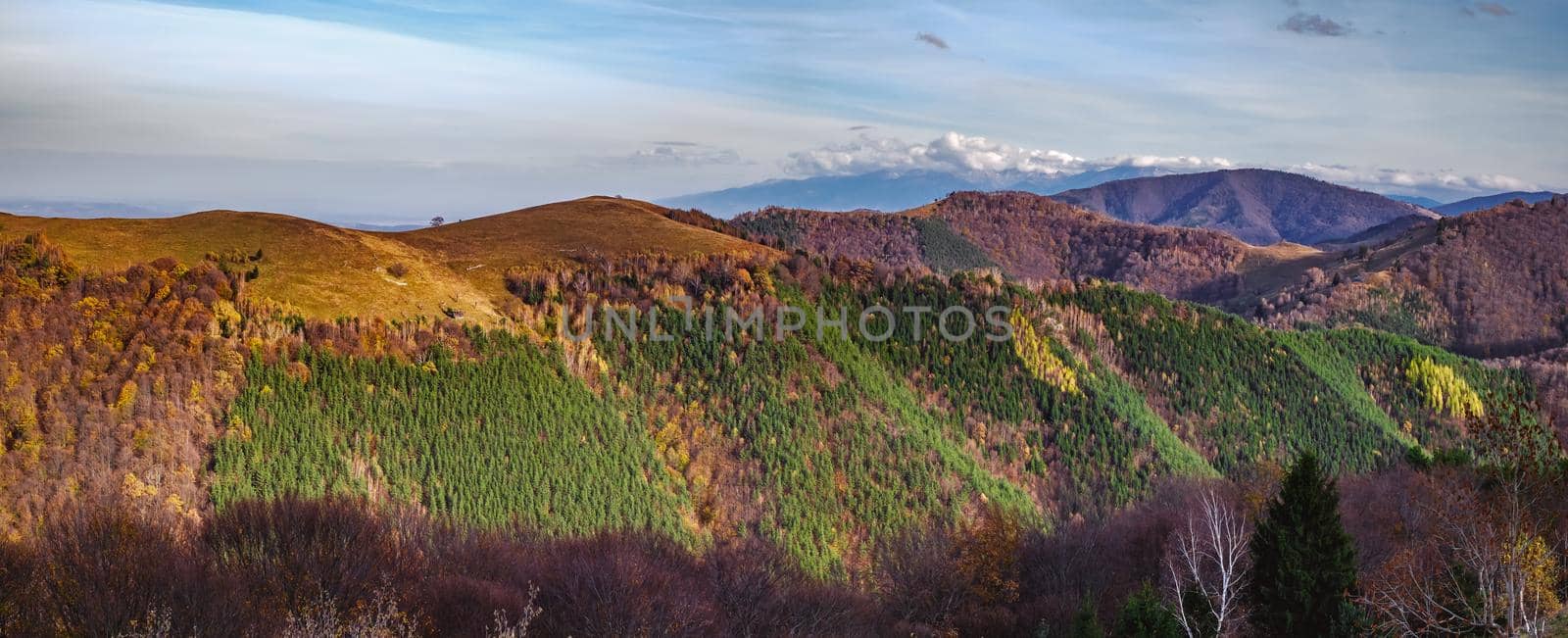Mountains in the fall season, Paltinis area, Sibiu county, Romania by Roberto
