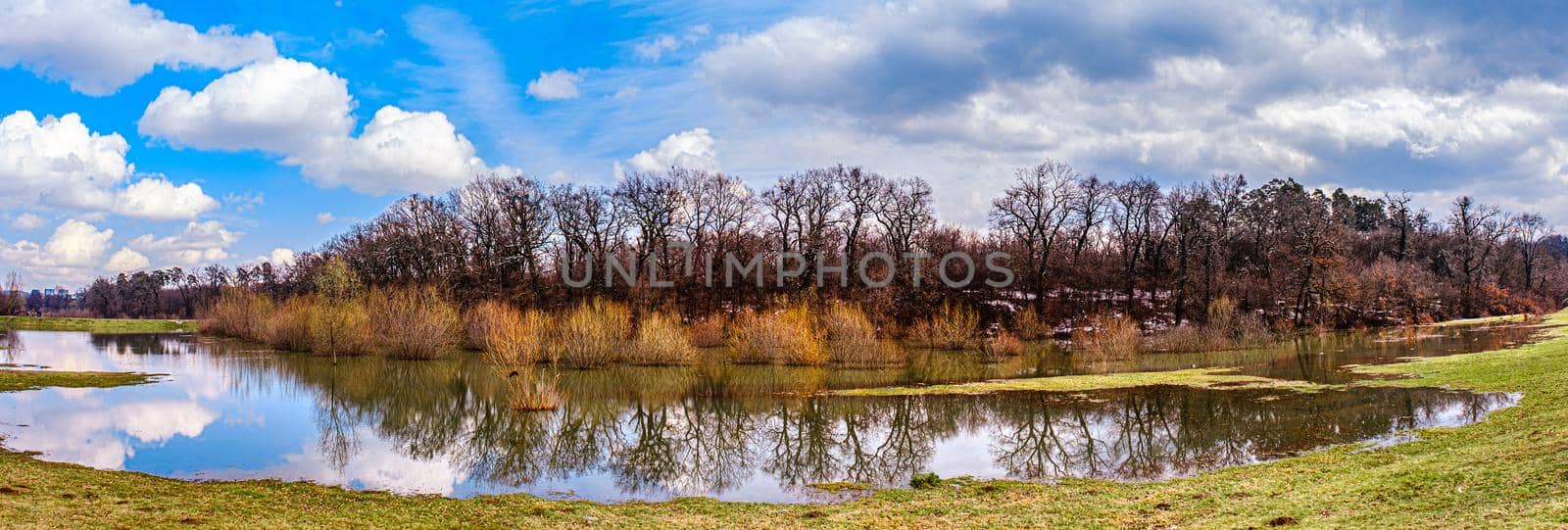 the lake and the forest by Roberto