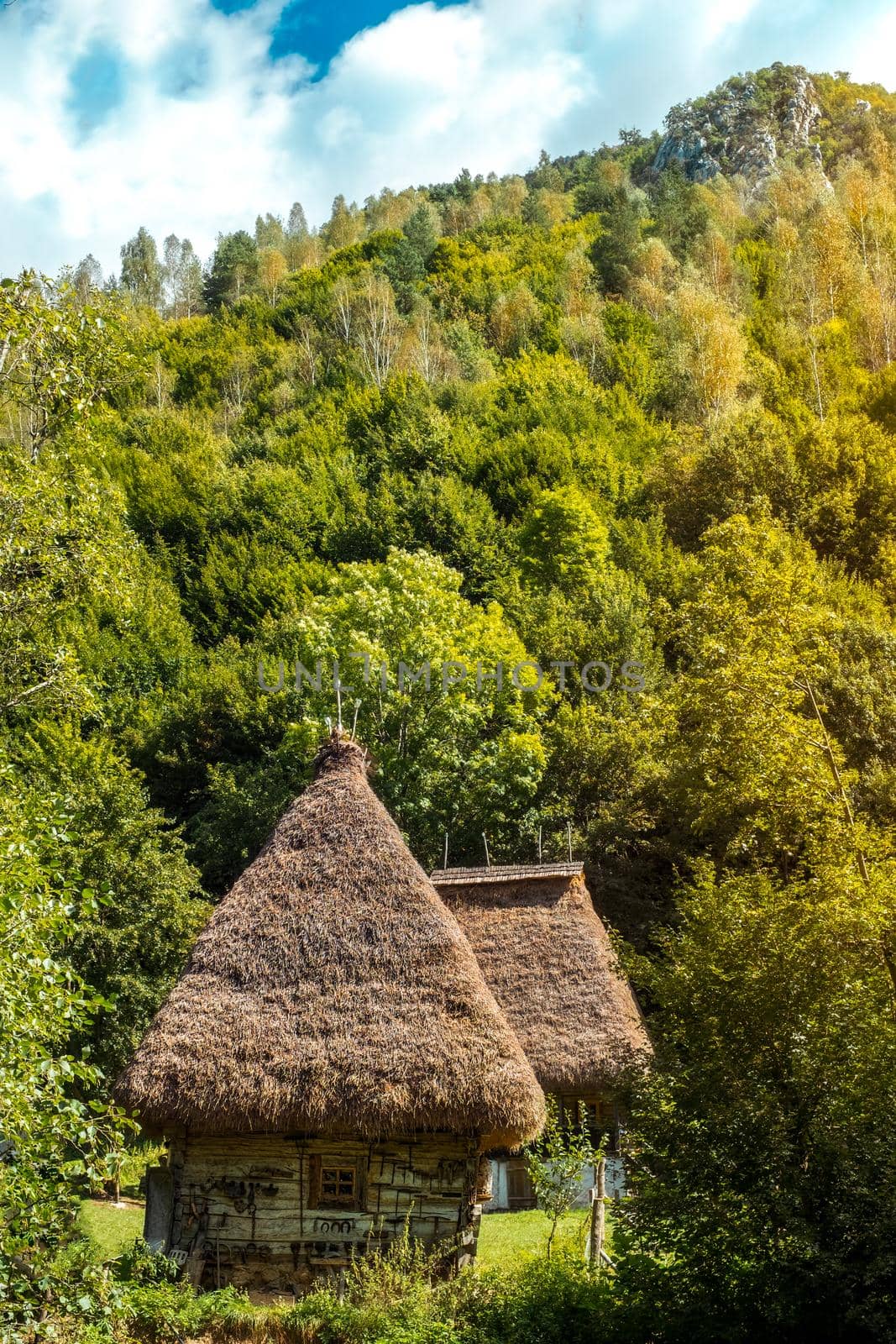 Traditional Romanian village with old house straw roofing, Cheia village, Trascau mountains, Alba county, Romania