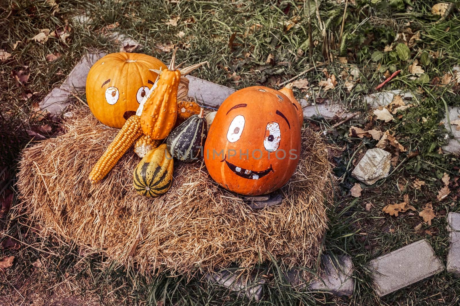 various pumpkins on the hay