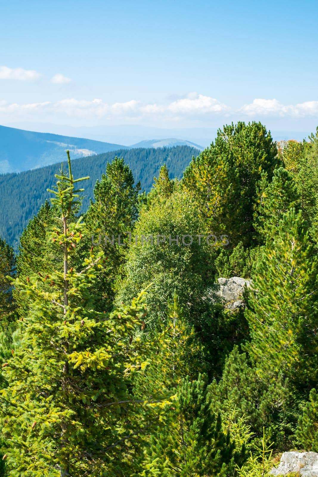 view over the wild Retezat National Park, Romania