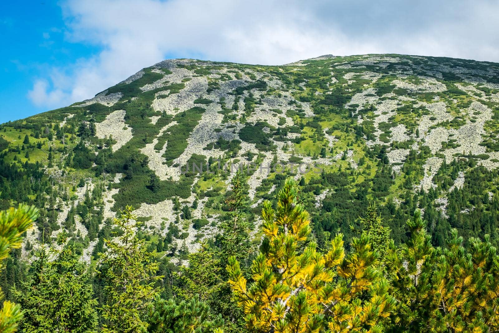view over the wild Retezat National Park, Romania