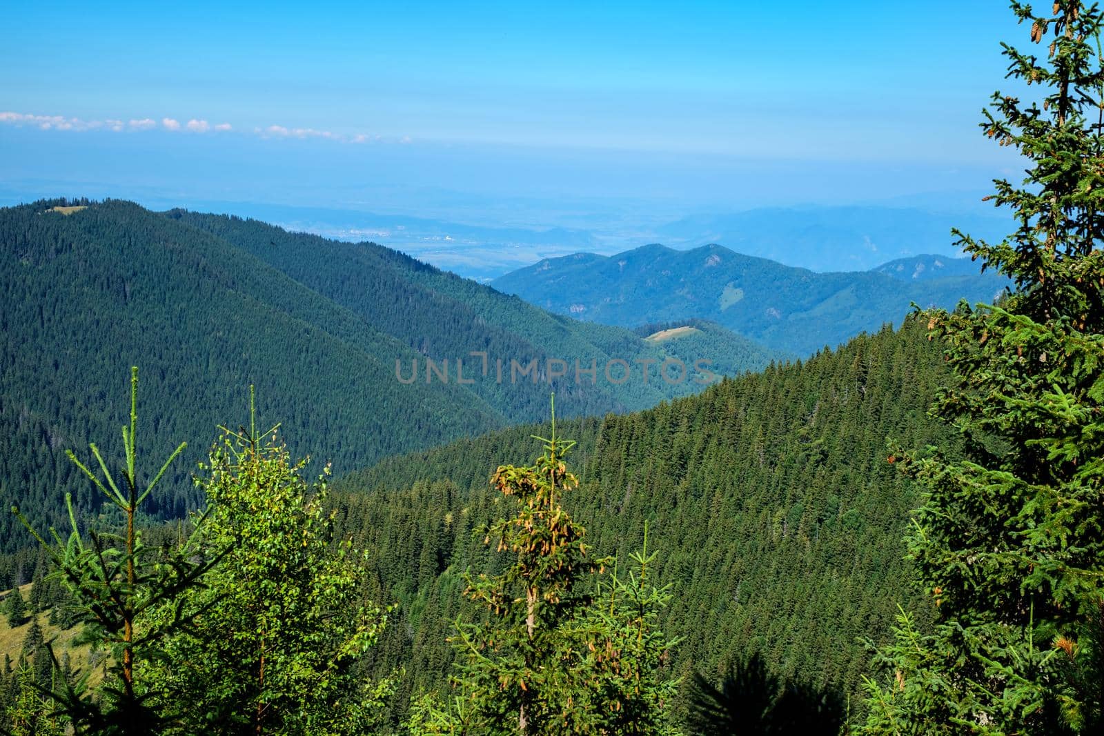 view over the wild Retezat National Park, Romania