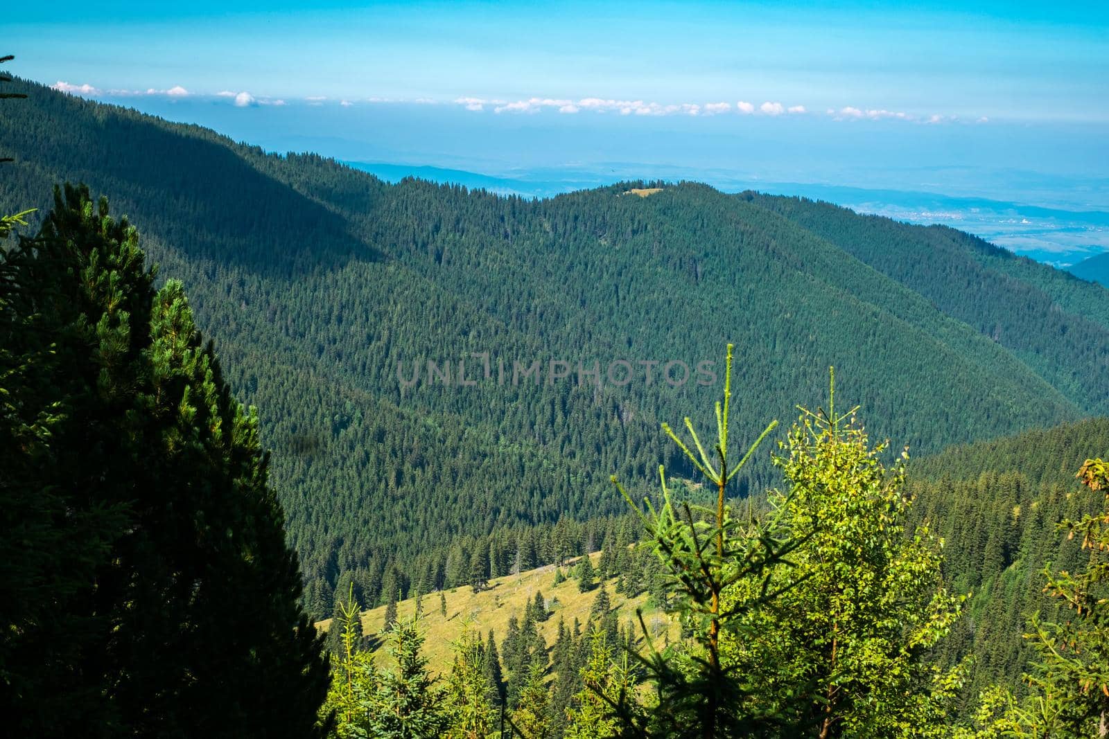 view over the wild Retezat National Park, Romania