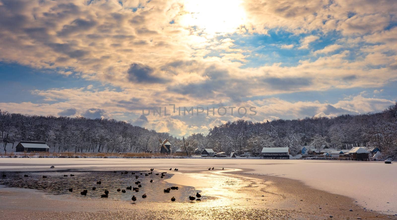 Winter panorama with windmills and geese on the lake in a cloudy cold day