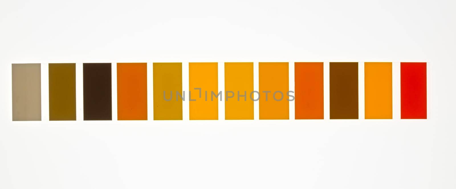 yellow color palette samples on white background