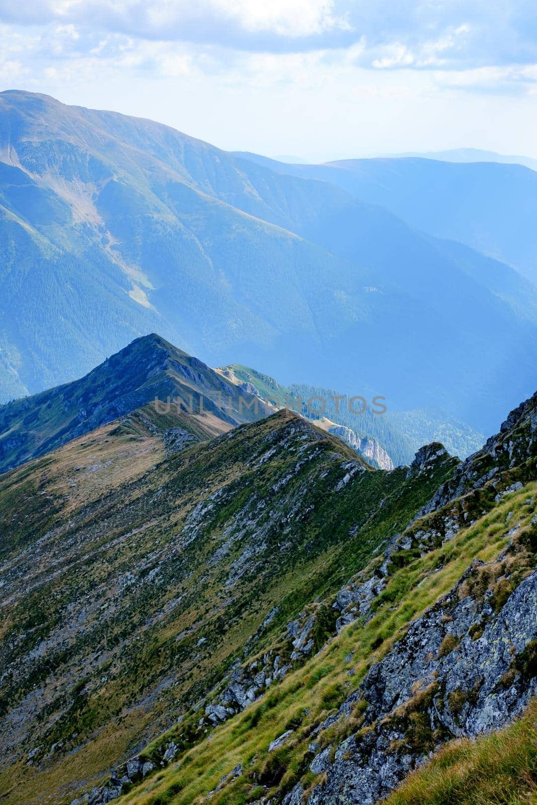 Suny day in  Romanian mountains, Fagaras, Sibiu county