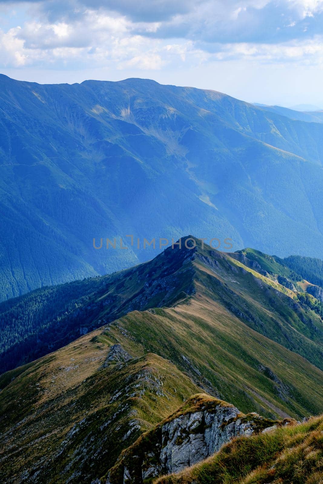 Suny day in  Romanian mountains, Fagaras, Sibiu county