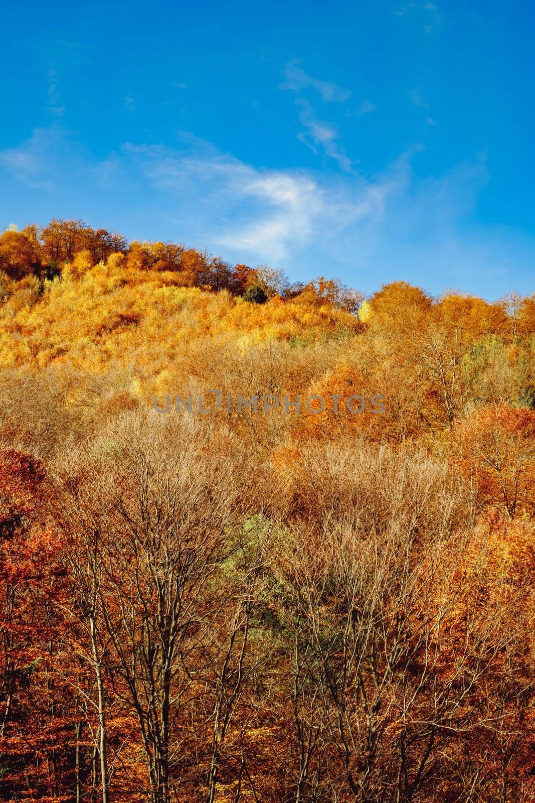 beautiful autumn landscapes in the Romanian mountains, Fantanele village area, Sibiu county, Cindrel mountains, Romania