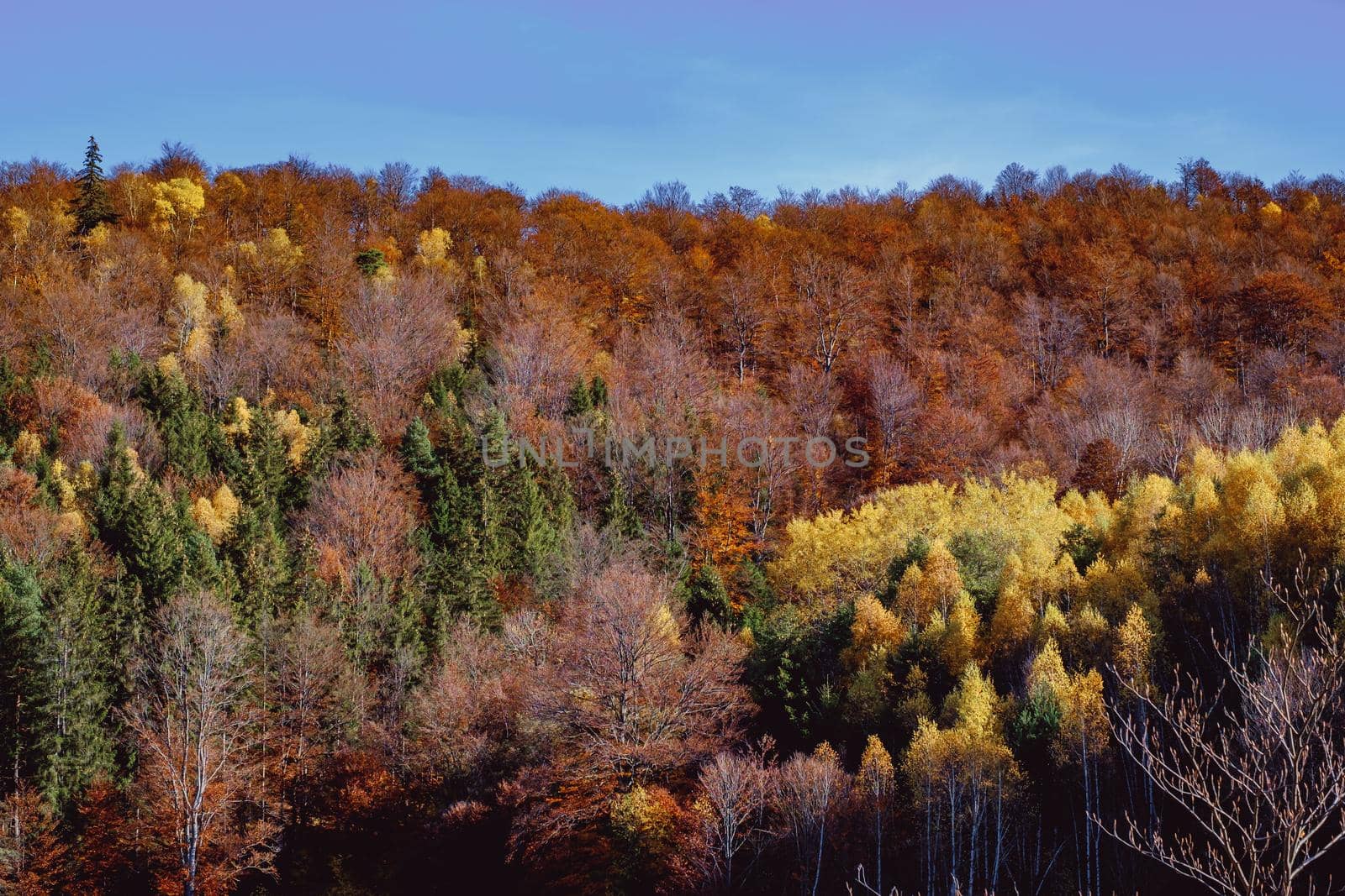 beautiful autumn landscapes in the Romanian mountains, Fantanele village area, Sibiu county, Cindrel mountains, Romania