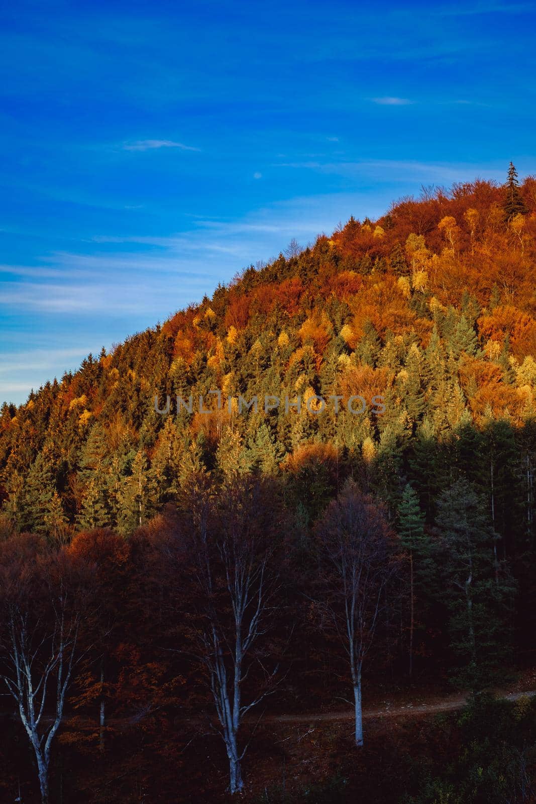 beautiful autumn landscapes in the Romanian mountains, Fantanele village area, Sibiu county, Cindrel mountains, Romania