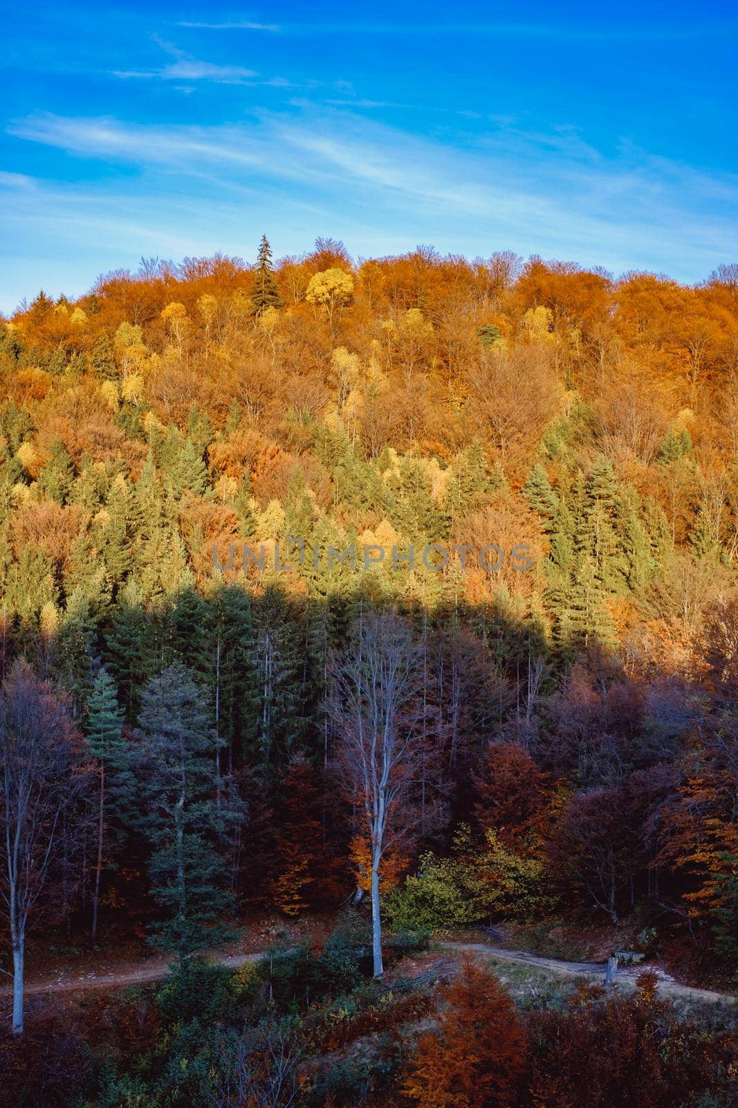 beautiful autumn landscapes in the Romanian mountains, Fantanele village area, Sibiu county, Cindrel mountains, Romania