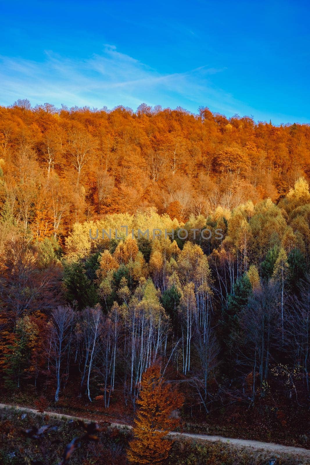 beautiful autumn landscapes in the Romanian mountains, Fantanele village area, Sibiu county, Cindrel mountains, Romania