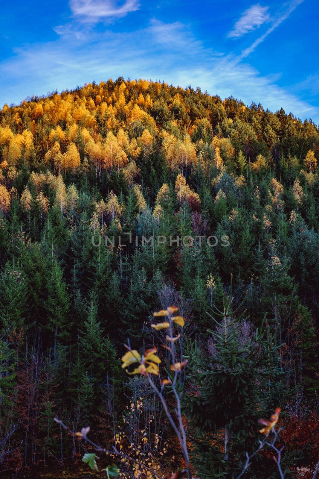 beautiful autumn landscapes in the Romanian mountains, Fantanele village area, Sibiu county, Cindrel mountains, Romania