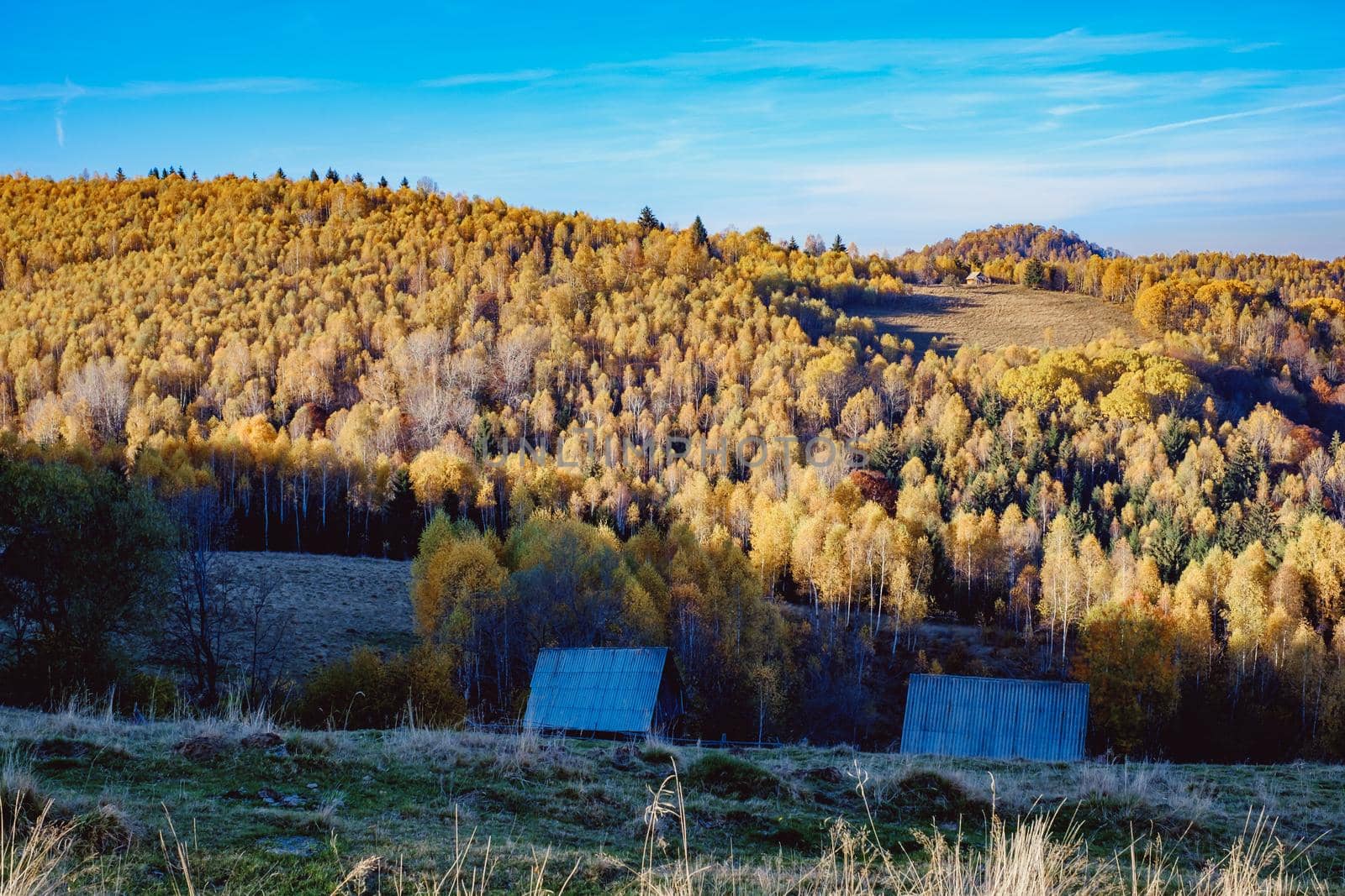beautiful autumn landscapes in the Romanian mountains, Fantanele village area, Sibiu county, Cindrel mountains, Romania