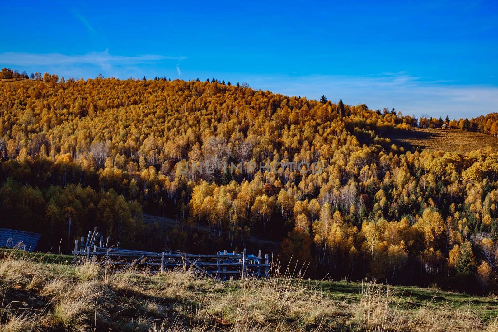 beautiful autumn landscapes in the Romanian mountains, Fantanele village area, Sibiu county, Cindrel mountains, Romania