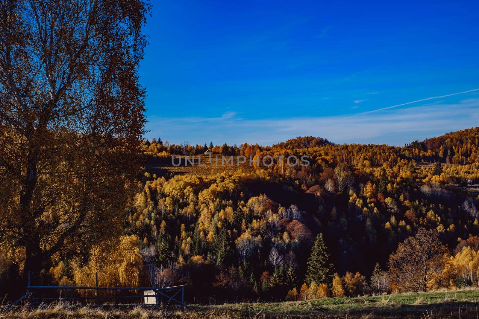 beautiful autumn landscapes in the Romanian mountains, Fantanele village area, Sibiu county, Cindrel mountains, Romania